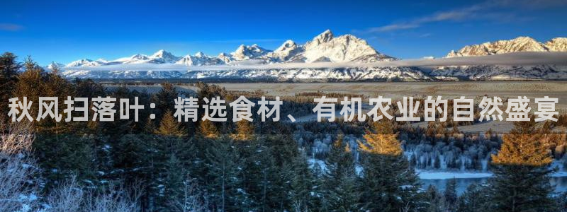 天辰娱乐平台登录账号