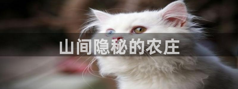 天辰娱乐平台测速