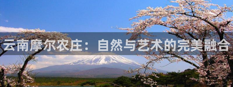 天辰娱乐官网平台入口