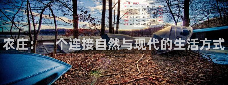 天辰娱乐 . 鱼刺